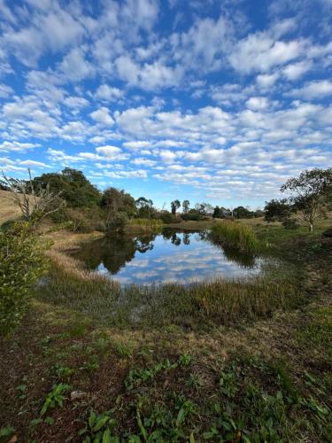 a small pond in the middle of a field at Cabana Guimarães in Rancho Queimado