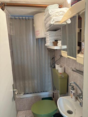 a bathroom with a green toilet and a sink at Apartman Delfin in Grahovište