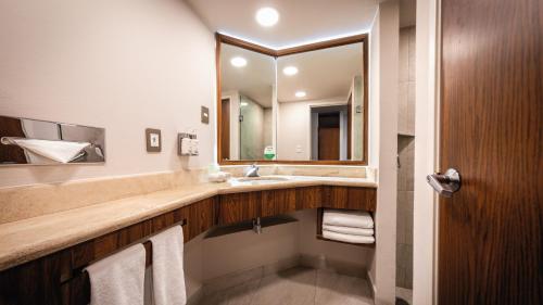 a bathroom with a sink and a mirror at Holiday Inn Orizaba by IHG in Orizaba