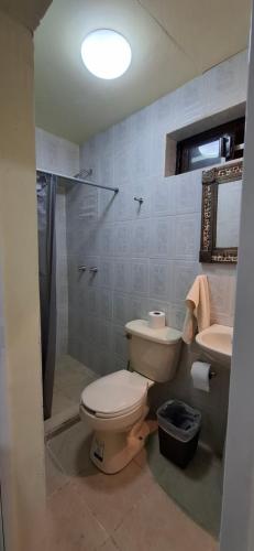 a bathroom with a toilet and a shower and a sink at Céntrico in Zacatecas