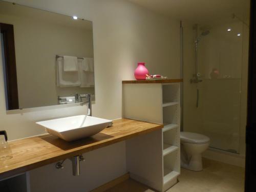 サルト・レ・スパにあるLe Ru du Passageのバスルーム(洗面台、トイレ、鏡付)