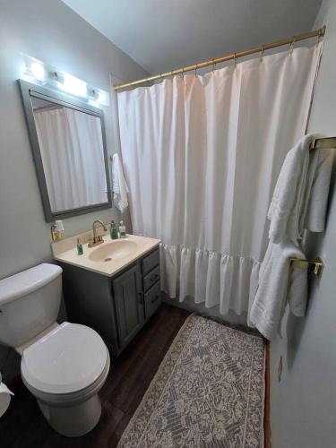 a bathroom with a toilet and a sink and a mirror at The Nelson House in Winner