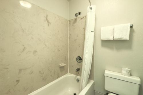 Hotel Carolina photo 33