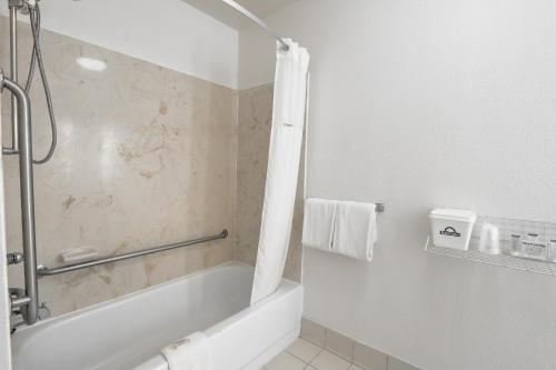 Hotel Carolina photo 42