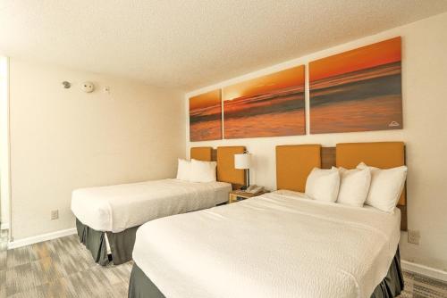 Hotel Carolina photo 31