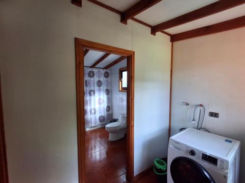 a bathroom with a toilet and a washing machine at Ribera Calle Calle in Valdivia