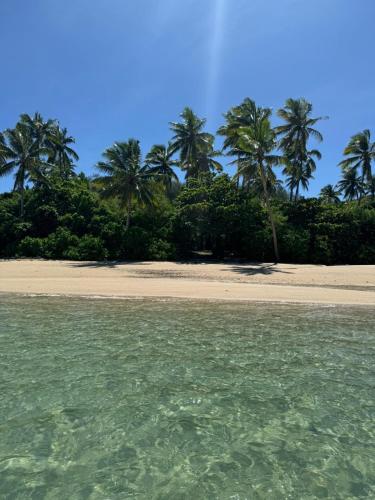 una spiaggia con palme e l'acqua di Yavu room a Rakiraki