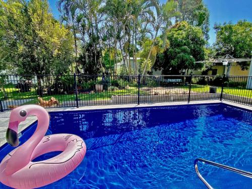 una piscina con dos flamencos rosas en el agua en A Amity Beach Baby, en Amity Point
