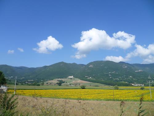 a field of yellow flowers with mountains in the background at B&B Colle di Terria Country House in Contigliano