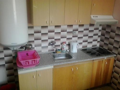 a small kitchen with a sink and a counter top at Horska Chata Nejdecka in Pernink