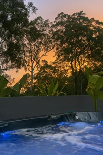 a swimming pool with trees in the background at Hinterland Heights in Canungra
