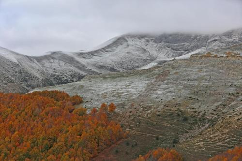an autumn view of a mountain with trees on it at Hostal Otsoa in Ezcároz