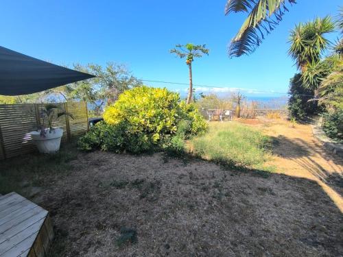 Un paisaje natural cerca del departamento
