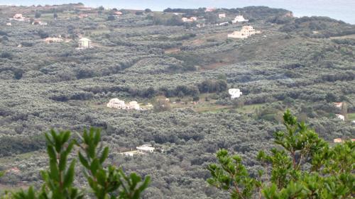 a view of a hill with houses and trees at Stalakton Country Maisonettes in Halikounas
