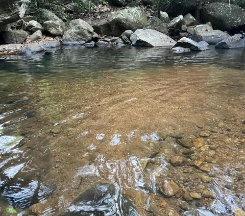 Příroda nedaleko chaty