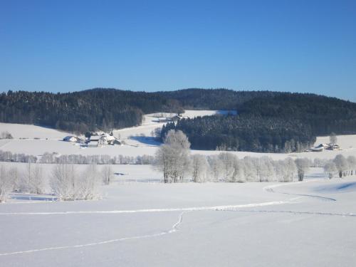a snow covered field with trees in the distance at Hotel Hirschenstein in Achslach