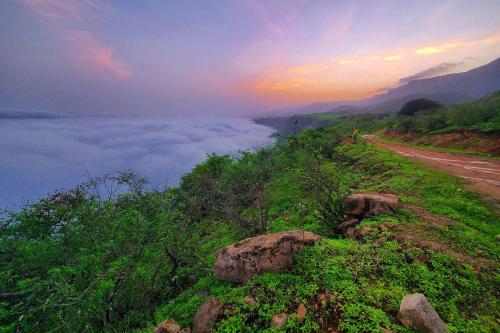a person standing on a hill with a field of clouds at محمية حوف 