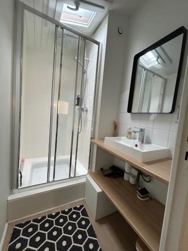 Ένα μπάνιο στο Bel appartement, Oiseau 1