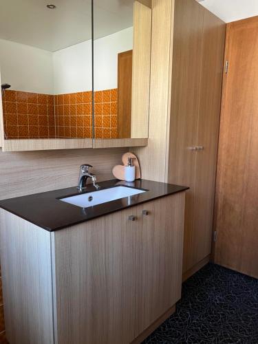 a bathroom with a sink and a mirror at Appart Ausblick in Vandans