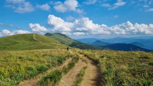 a person walking down a dirt road on a mountain at Domki Nad Bocianim Gniazdem in Bukowiec