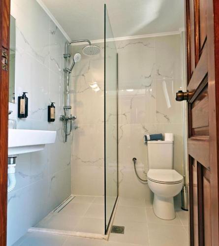 a bathroom with a shower and a toilet and a sink at Pasiphae Hotel in Skala Kallonis