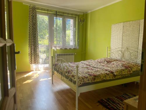 een slaapkamer met een bed in een kamer met groene muren bij Apartament Ciśnianka in Cisna