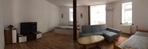a living room with a couch and a television at Apartmány Pražská in Ústí nad Labem
