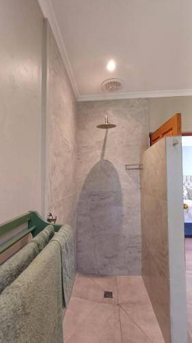a bathroom with a shower with a shadow on the wall at The Royal Hilltop in Riebeek-Kasteel