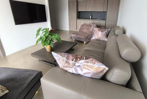 ein Wohnzimmer mit Sofa und Fernseher in der Unterkunft Chambre entre mer et montagne in Barbaggio