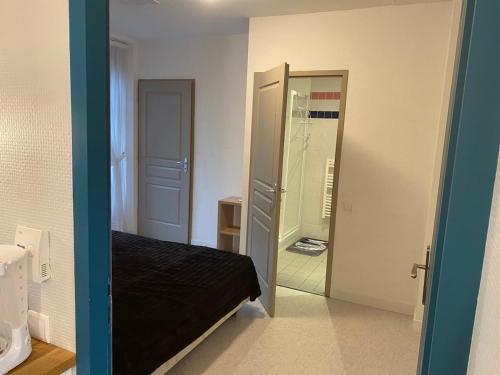 L'Ecrin de Verdure du Centre Ville في إيكس لي بان: غرفة نوم بسرير ومرآة في الغرفة