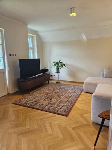 una sala de estar con un sofá y una alfombra en Willa "Pod Bukiem", en Zloty Stok