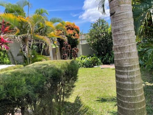 a palm tree in front of a house with flowers at Kata furnished accomodation 