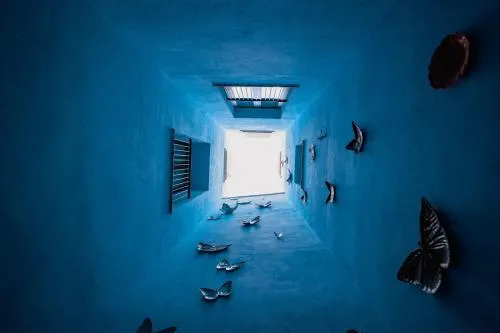 Casa Alhaja by Shiadu photo 7