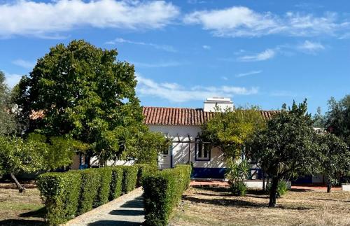 Zahrada ubytování Quinta do Céu Tranquilidade e Piscina no Alentejo