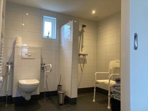 a bathroom with a toilet and a window at Vakantiehuis 't Laaisterplakky zonder drempels in Oude Bildtzijl