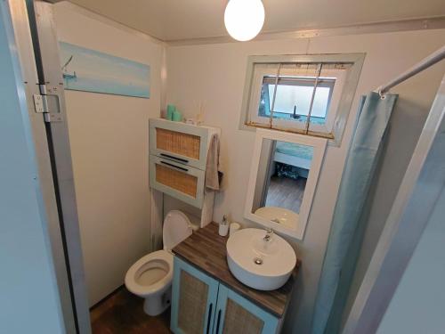 a small bathroom with a sink and a toilet at uMkhaKhaya Container Home in Westbrook