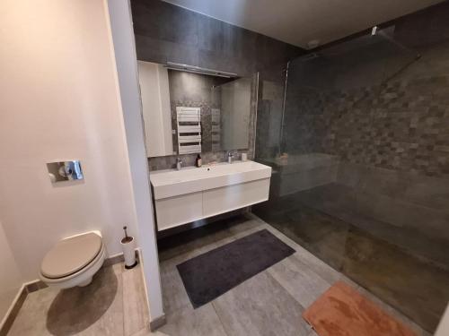 a bathroom with a toilet and a sink and a shower at Parenthèse contemporaine - Élégance et nature in Parigné-lʼÉvêque