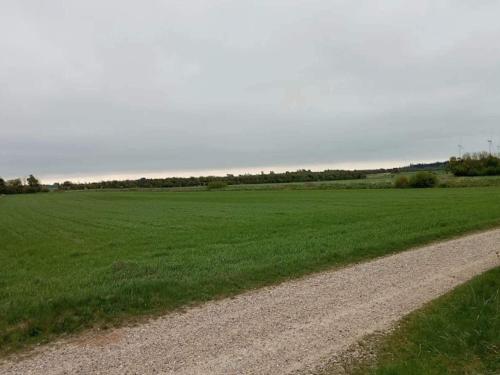 a dirt road next to a large green field at 6 person holiday home in Hemmet in Hemmet