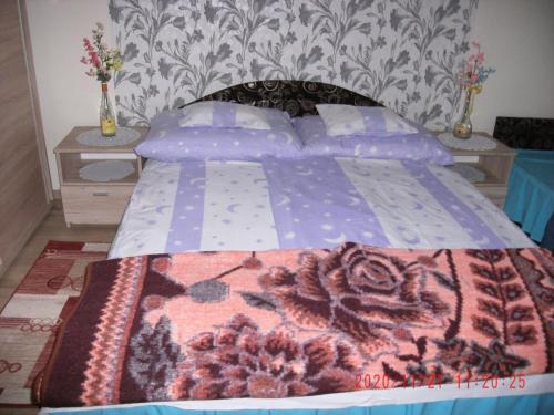 Fotografie z fotogalerie ubytování Dorina Vendégház v destinaci Hajdúszoboszló