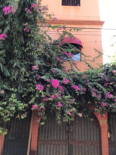 NOOMA PRESTIGE OUAGa 2000