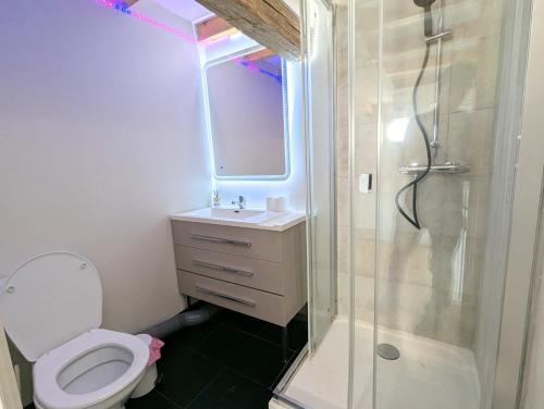 ein Badezimmer mit Toilette, Dusche und Waschbecken in der Unterkunft Triplex sur les hauteurs de Divonne in Divonne-les-Bains
