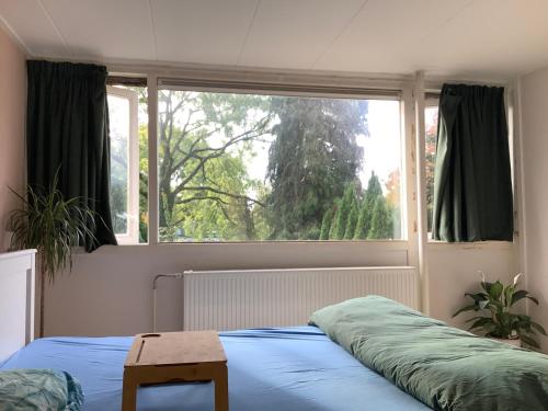 une chambre avec un lit et une grande fenêtre dans l'établissement Cricri, à Lelystad