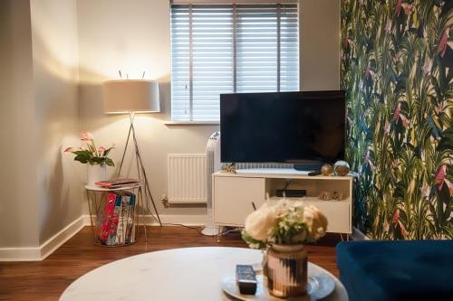 TV a/nebo společenská místnost v ubytování Norwich, Lavender House, 3 Bedroom House, Private Parking and Garden