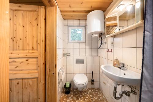 a small bathroom with a toilet and a sink at Bungalow 37b - Kimbucht in Reichendorf