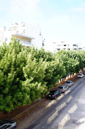 a row of trees on the side of a street at A&I Apartments & Studios in Athens