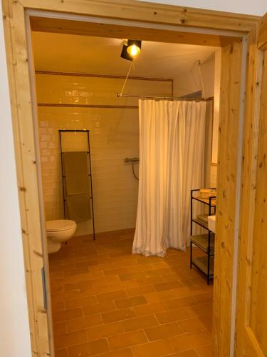 Un baño con inodoro y cortina de ducha. en Ferienwohnung Lulù, en Bingen am Rhein