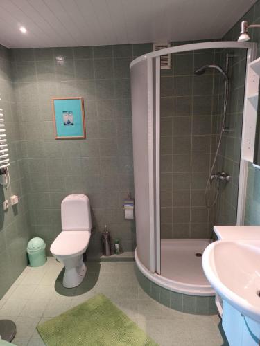 ein Badezimmer mit Toilette, Dusche und Waschbecken in der Unterkunft Studija viloje-Quiet Apartment 15 min from Airport in Kaunas