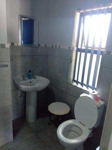 a bathroom with a toilet and a sink at Columbae Guesthouse in Parys