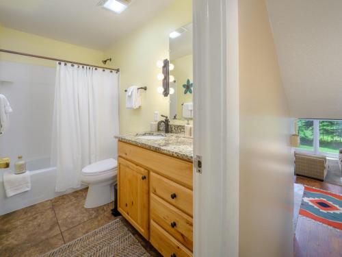 テトン・ビレッジにあるRMR: Four Seasons I 2 Condo in Teton Villageのトイレ、洗面台、鏡を備えたバスルーム