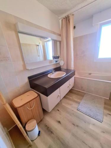 a bathroom with a sink and a mirror and a tub at L'appart du bonheur à Reims in Jonchery-sur-Vesle